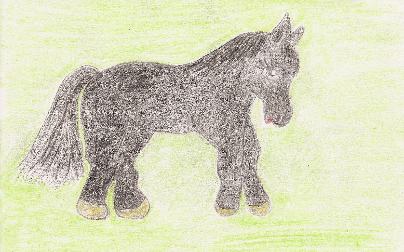 Sampson the Pony, illustrated by Kathleen Rountree